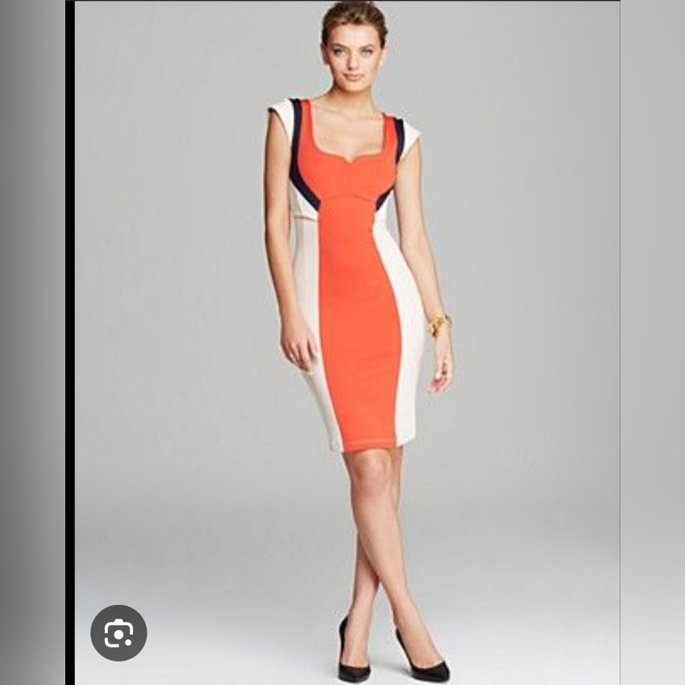 French Connections Colorblock Dress